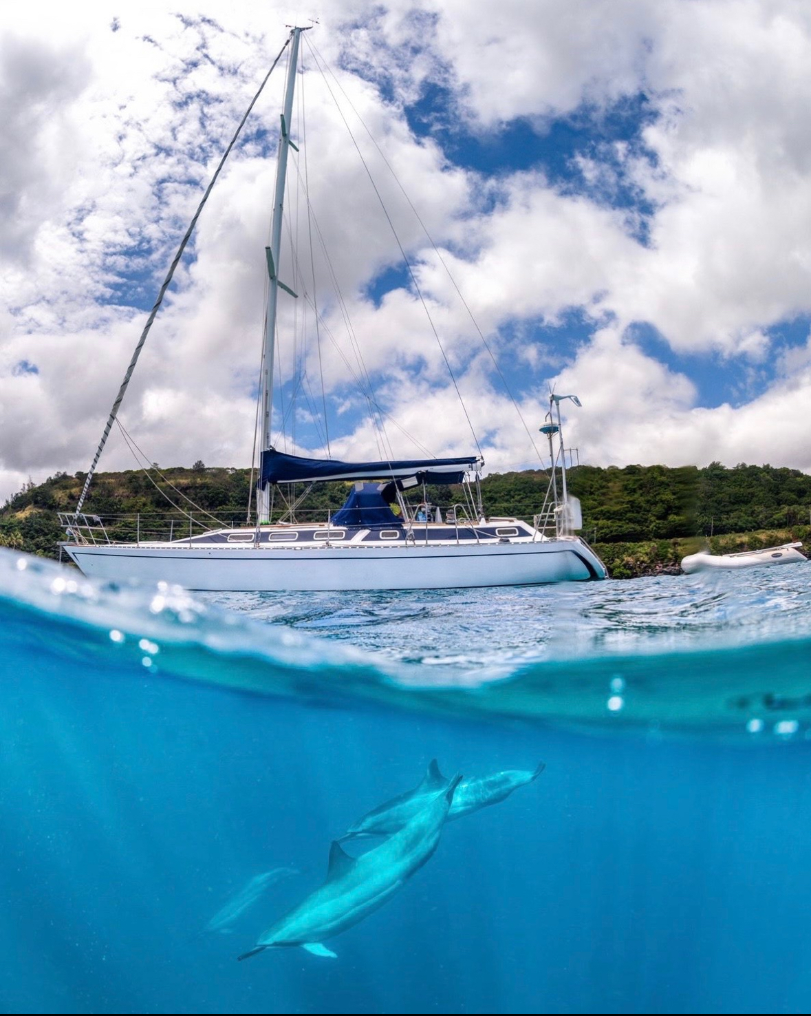 Private day sail dolphins Hawaii