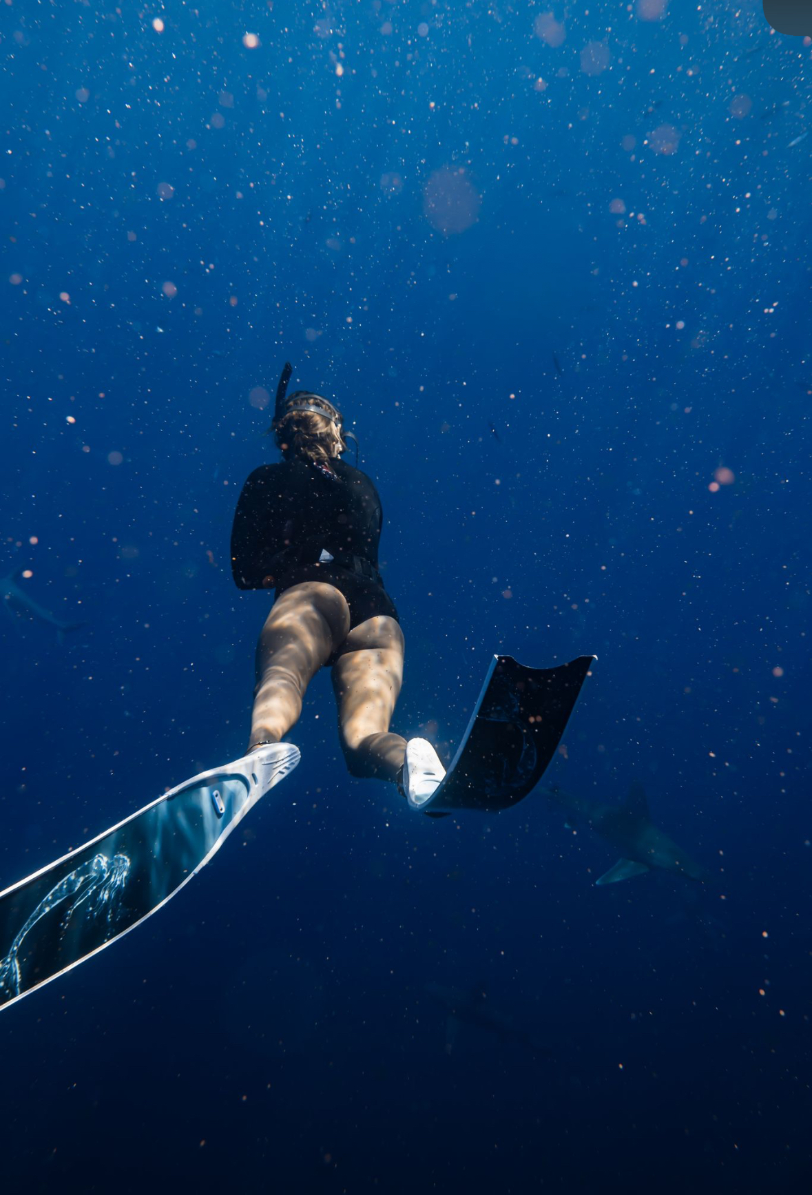 Shipwreck snorkeling Hawaii