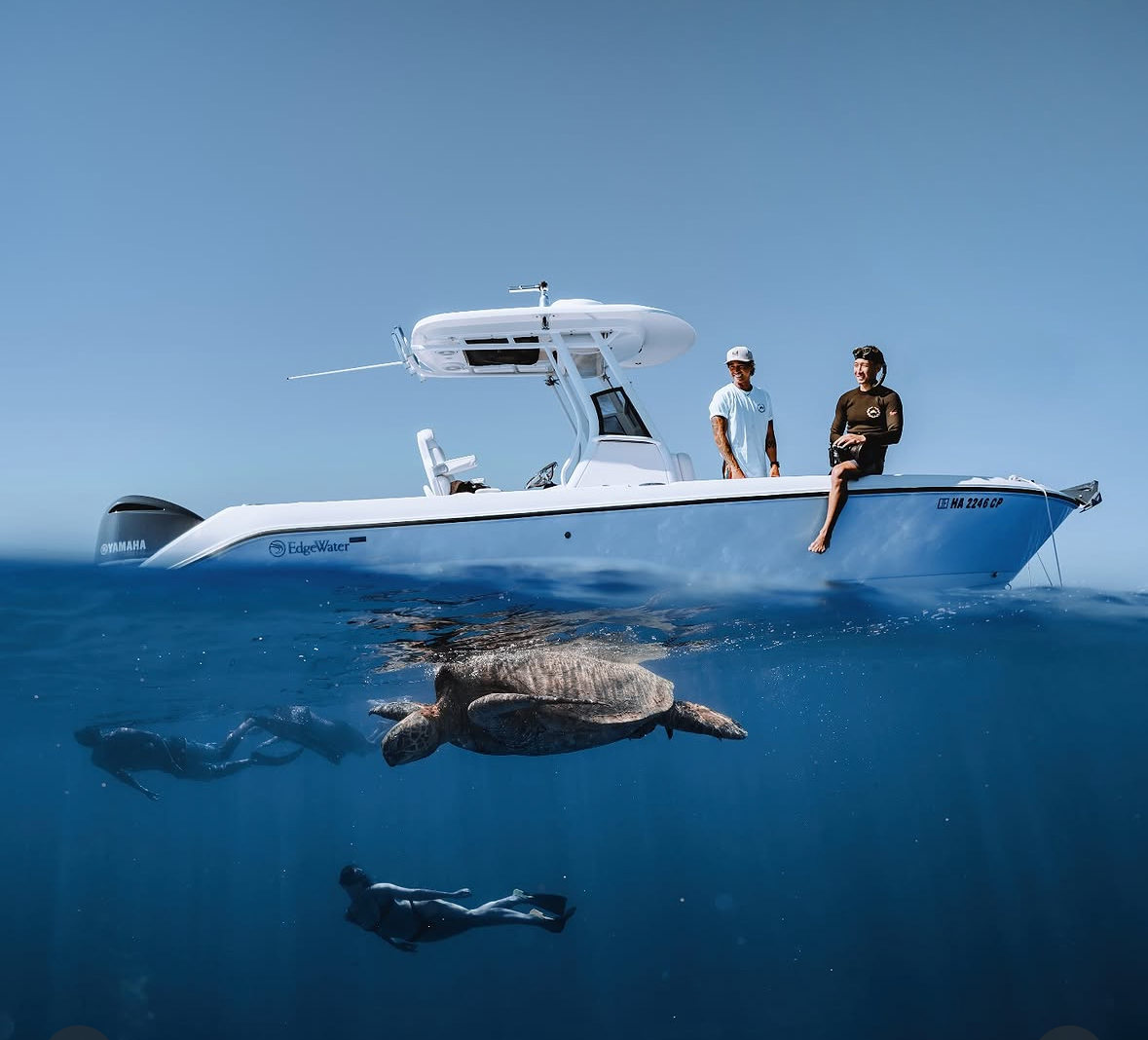 Turtle canyon snorkeling Hawaii