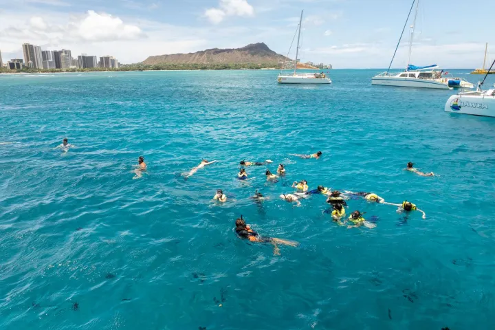 Turtle canyon snorkeling